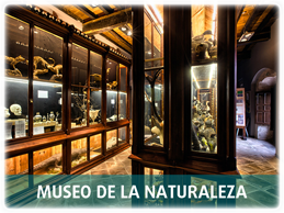 Museo de la naturaleza de Carrejo