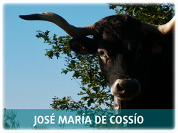 José María de Cossío
