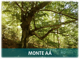 Monte Aa