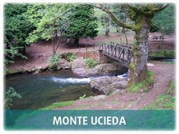 Monte Ucieda
