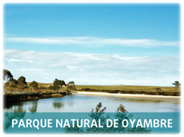 Parque Natural de Oyambre