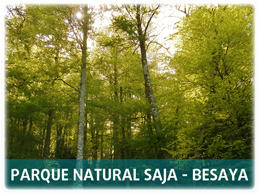 Parque Natural Saja Besaya